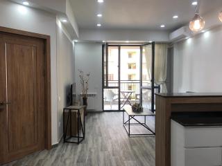Luxury - Premium Location 1 Bedroom Apartment - Erevan - 6