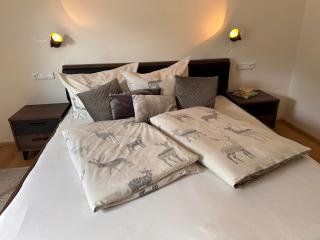 Alba Apartments - Wald am Arlberg - 9