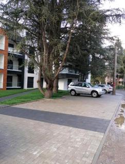 Sofika - Vrnjačka Banja - 2