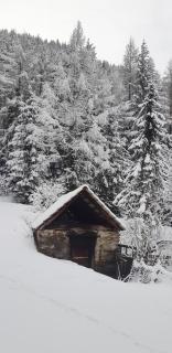 Laimbruchhof Apartments Urlaub auf dem Bauernhof - Val di Vizze - 4