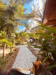 Sunmoon Beach Resort Likupang Timur - 2