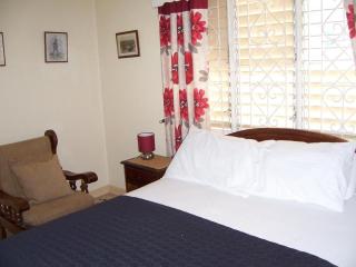 Almond tree villa - Ocho Rios - 3