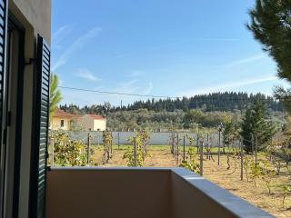 Dimitra Houses 2 - Seaside - Lefkímmi - 8