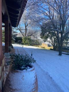 El Balcón De Alboreca - 9