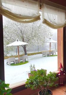 El Balcón De Alboreca - 6