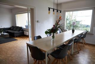 Schaefer Apartments - Villa Bischof - Offenbach - 8