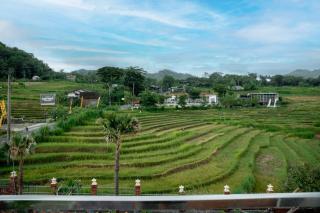The Swantari by ARBA - - 6