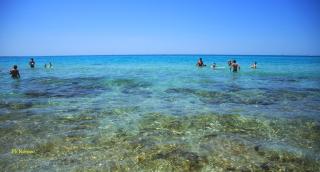 Bilocale Gs Lido San Giovanni By NonSoloMare Casevacanze srlu Gallipoli - 7