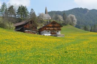 Fallerhof - Villnoss - 0