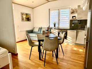 GreenHouse with Aircondition and Garden - 7