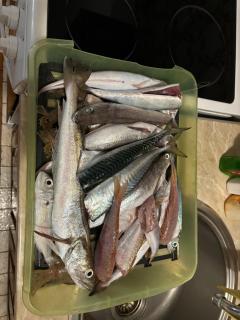 Apartment Mustapic - 2