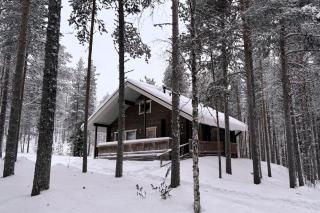 Holiday Cabin Aurora River inc Wilderness Sauna - Levi - 1