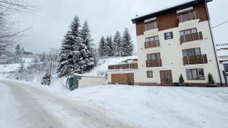 Lion - Bukovel - 7