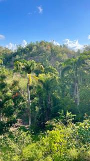 Rancho Romana Treehouse F04 - El Limón - 9