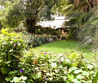 Zebras Dazzle BnB Restaurant - 9