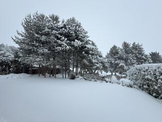 Villa - VALL DI VALL in Pirin Golf & Country Club - 6