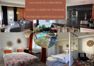 Logis au sud d'Angers, entre Loire & vignes - Saint-Jean-des-Mauvrets - 0