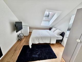 Cosy private room in Lausanne center - Losanna - 3