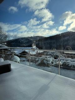 Stilvolle Ferienwohnung in ruhiger Lage - Willingen - 7