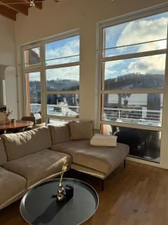 Stilvolle Ferienwohnung in ruhiger Lage - Willingen - 9