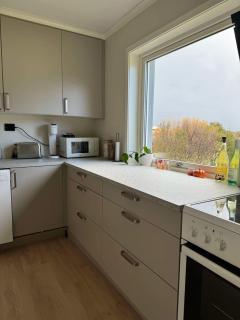 Arctic Haven Apartment - 2