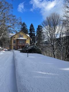 Villa Belvedere - Janske Lazne - 8