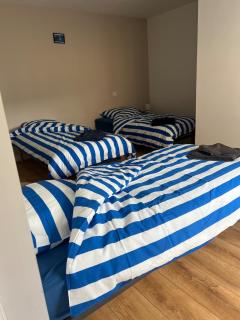 Appartement des dauphins - 2