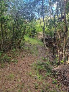 La Gaviota Casa ecológica cerca Lago Caburgua - 6