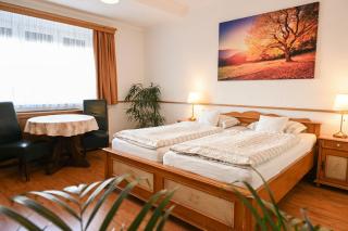 HOTEL DIANA apartments - Prague - 7