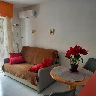 APARTAMENTO PROVENZA con BALCON , PATIO y PARKING - Torrevieja - 8