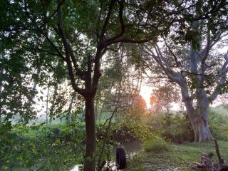 Bundala Nature Lodge by Master Campers - Hambantota - 3