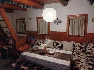 Vila Lara - Kopaonik - 2