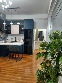 Cozy new apartment near Old City - Baku - 5