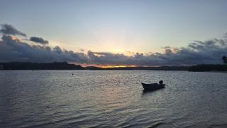 Casa Angelim, for season - 8