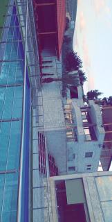 منتجع تل الورد - 9