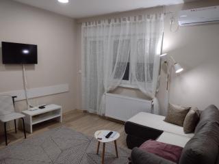 Apartman Bella - Banja Koviljača - 5