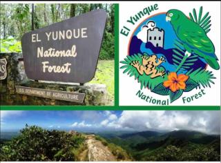 Steps from stunning beaches, near El Yunque and Carabali - Luquillo - 2