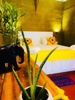 Nature lovers Safari & Resort - Uda Walawe - 2