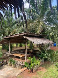 Onlyfan hostel - Chumphon - 2