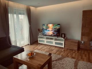 Apartman Nađa - Banja Koviljača - 9