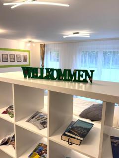 1-Zimmer Apartment in Ochsenfurt - Ochsenfurt - 0
