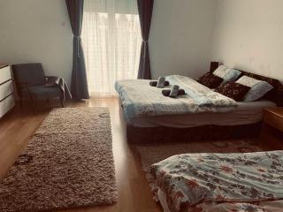 Apartman Nađa - Banja Koviljača - 8