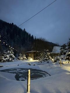 Guest House - Synevyrsʼka Polyana - 9