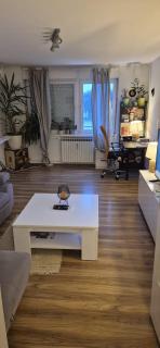Apartment Jarun Comfort - Zagreb - 7