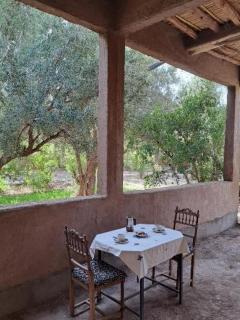 LE JARDIN DES GRENADIERS - Skoura - 5