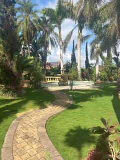 Hidden oasis - Mandeville - 0