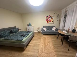 LITZI Apartment - Baden-Baden - 8