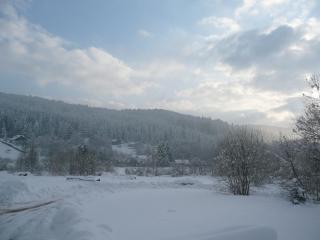 D1 Very nice studio of 1 à 4 pers 3 stars WiFi - Le Tholy - 7