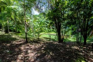 Welcome to the Amazon - 9