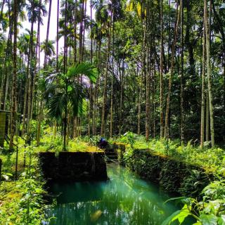 Lose yourself in natures luxury - 7